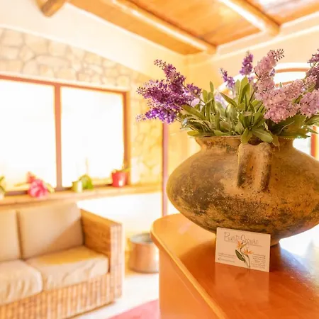 Mediterraneo ベッド・アンド・ブレックファスト ピッツォ