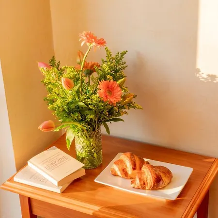 Bed & Breakfast Mediterraneo Tartufoexperience Pizzo (Calabria)