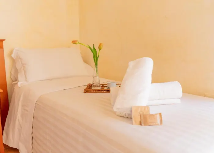 Mediterraneo 住宿加早餐酒店 皮佐